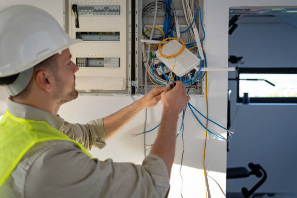 Best Electrician for Home Renovation  in Granvle, IL